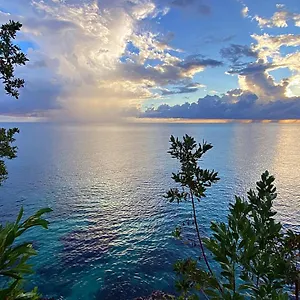  Apartment Oceanfront W/ Free Parking + High Speed Wifi Jamaica