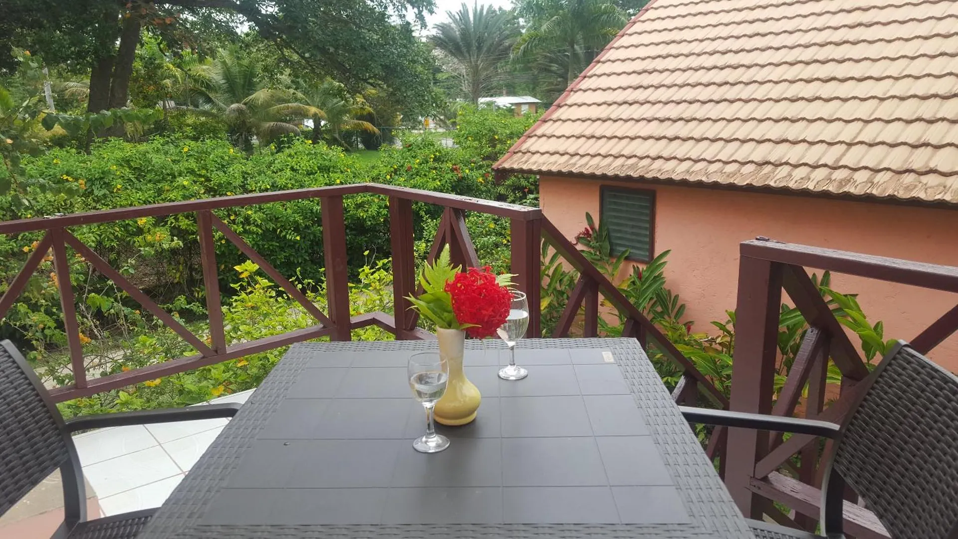 Firefly Beach Cottages Negril Hotell