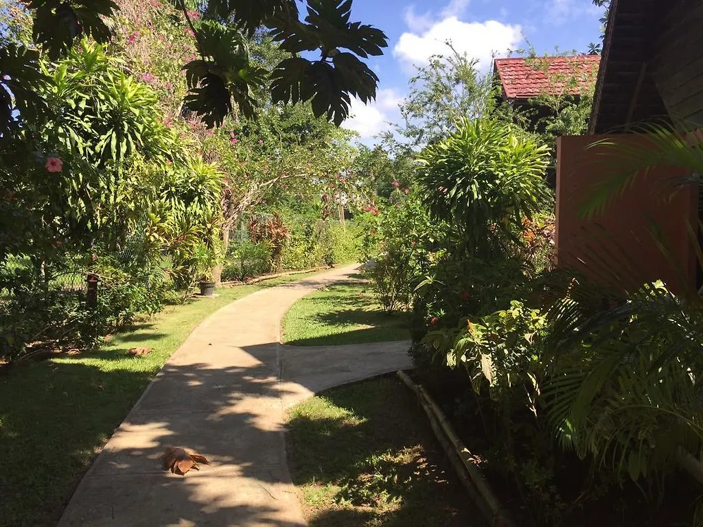 Firefly Beach Cottages Negril Hotell