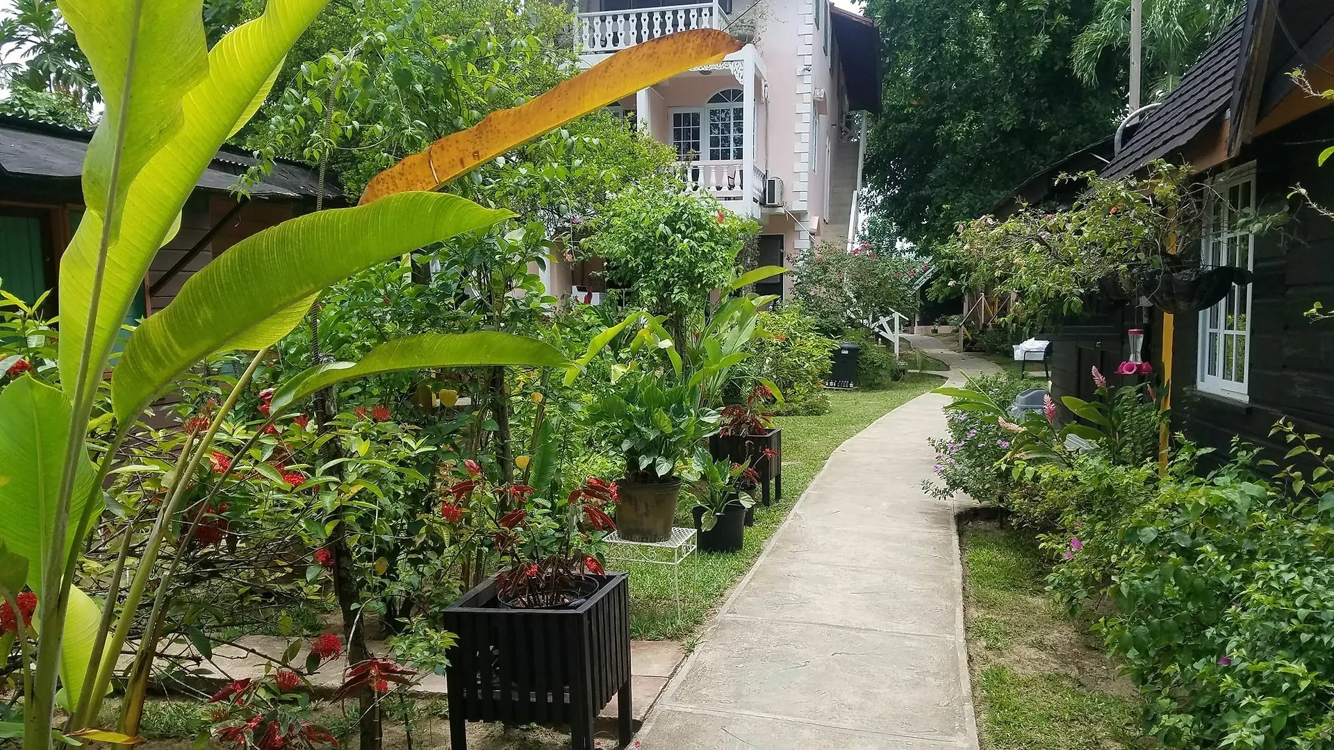 Firefly Beach Cottages Negril Hotell